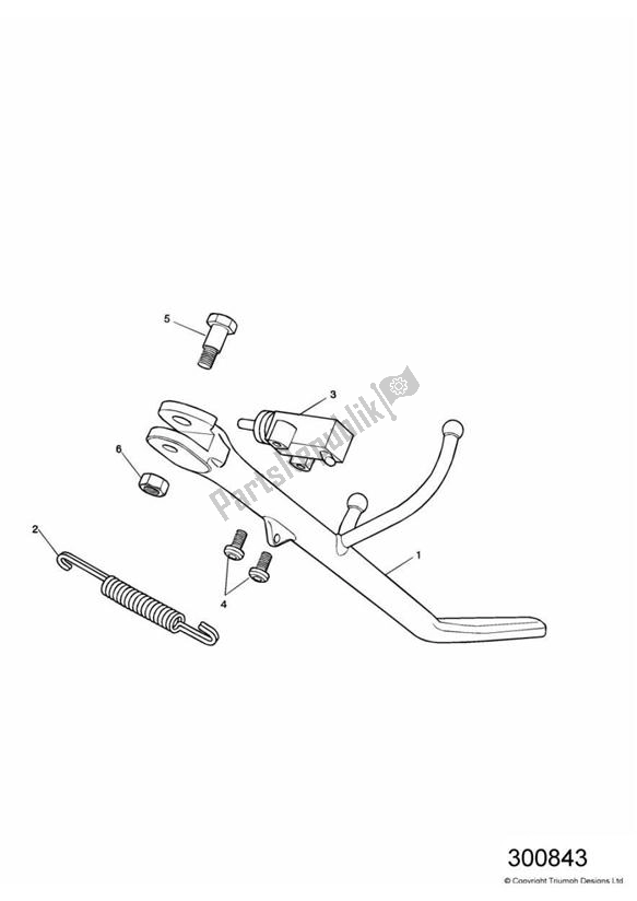 All parts for the Side Stand of the Triumph America Carburettor 790 2002 - 2007